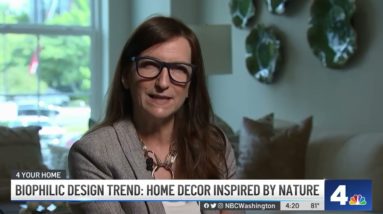 Biophilic Design: How Nature Can Spruce Up Your Home | NBC4 Washington