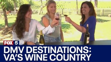 DMV Destinations: Exploring Virginia’s beautiful wine country!