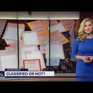 In The Courts: Were documents found at Trump's Mar-a-Lago estate classified or not? | FOX 5 DC