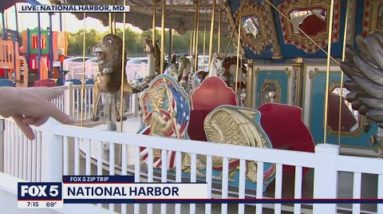 FOX 5 Zip Trip National Harbor Finale: Checking out the carousal!