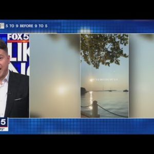 LIKE IT OR NOT: 5 to 9 before 9 to 5 | FOX 5 DC