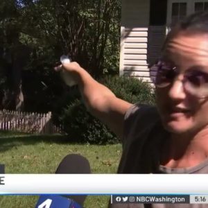 Man Injured Saving Dog as Family Escapes Burning Home | NBC4 Washington