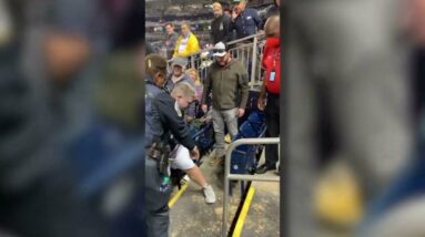 Man Punches Usher in DC's Nationals Park | NBC4 Washington