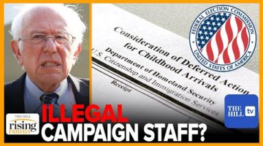 Ryan & Emily REACT: Bernie Sanders FINED over DACA campaign staffers