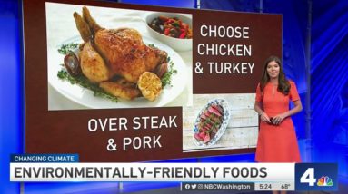 Which Favorite Foods Are More Environmentally Friendly | NBC4 Washington
