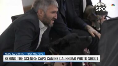 Behind the Scenes: Caps Canine Calendar Shoot | NBC4 Washington