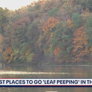 Best places to go "leaf peeping" in the DMV
