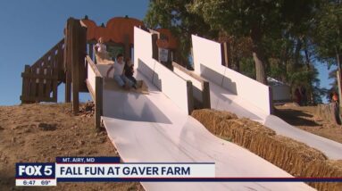 Checking out the fun Fall activities at Gaver Farm