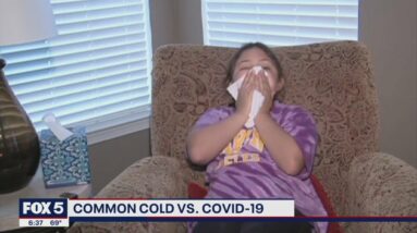 Common cold vs. COVID-19: How to tell the difference | FOX 5 DC