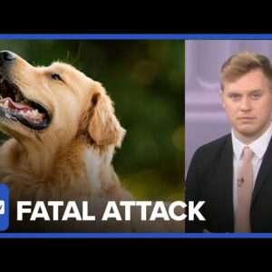 New York Dog Death Triggers Crime Reform Debate, Ameshia Cross & Robby Soave REACT