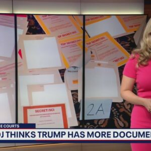 DOJ thinks Trump has more classified documents | In The Courts