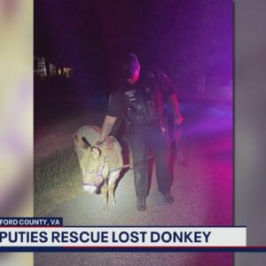 Escaped donkey reunited with owner in Stafford County | FOX 5 DC