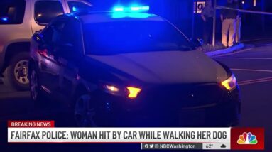 Hit-and-Run Driver Strikes Woman, Dog in Fairfax County | NBC4 Washington