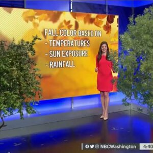 How Changing Climate Affects Fall Foliage | NBC4 Washington