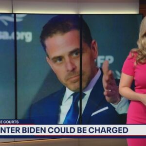 Hunter Biden could be charged with tax crimes | In The Courts