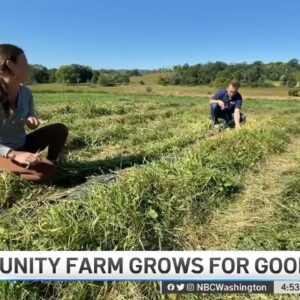 JK Community Farm Grows for Good | NBC4 Washington