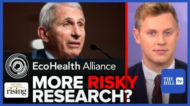 Robby Soave: More LAB LEAK-CONNECTED Research On Bats? NIH Gives EcoHealth Alliance Another $600K