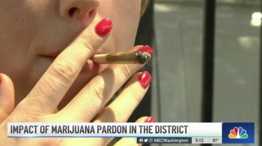 Marijuana Pardon's Impact in DC | NBC4 Washington