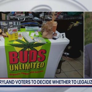 Maryland voters to decide whether to legalize marijuana | FOX 5 DC