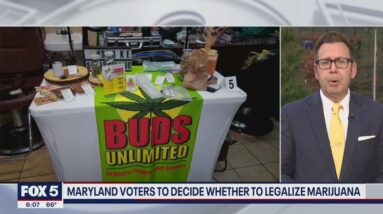 Maryland voters to decide whether to legalize marijuana | FOX 5 DC