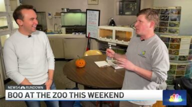 Blues Alley Fire, Online Hackers and Boo at the Zoo: The News4 Rundown | NBC4 Washington
