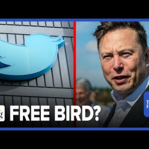 Elon Musk FIRES Top Twitter Execs, Will Reportedly Charge Blue Checks $20/Month For VERIFICATION