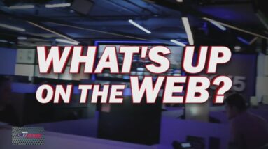 What's Up on the Web: Legalizing marijuana and lunchtime snack hustles