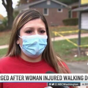 Woman Hurt, Dog Killed in Fairfax Hit-and-Run | NBC4 Washington