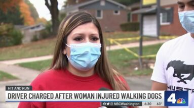 Woman Hurt, Dog Killed in Fairfax Hit-and-Run | NBC4 Washington
