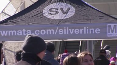 Loudoun County Celebrates Silver Line Extension With Street Festival | NBC4 Washington