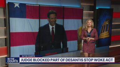 Judge says DeSantis' Stop Woke Act "positively dystopian" | FOX 5's In The Courts