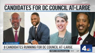 8 Candidates Running for DC Council At-Large | NBC4 Washington