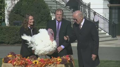 Annual Turkey Pardoning at the White House | FOX 5 DC