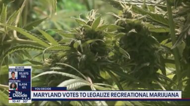 Maryland votes to legalize recreational marijuana | FOX 5 DC