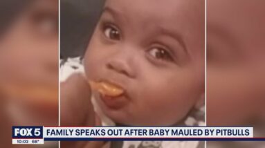 7-month-old mauled by pit bulls inside DC home left 'fighting for his life' | FOX 5 DC