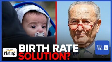 AMNESTY For Undocumented Immigrants Is The Solution To US BIRTH RATE DECLINE: Chuck Schumer