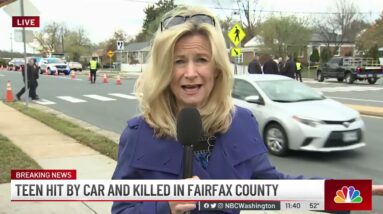 Teen Hit by Car and Killed in Fairfax County | NBC4 Washington