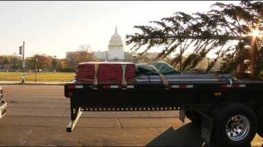 US Capitol Christmas Tree arrives in DC for the holiday season