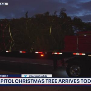US Capitol Christmas Tree arrives in DC from North Carolina | FOX 5 DC