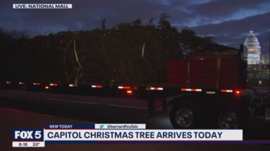 US Capitol Christmas Tree arrives in DC from North Carolina | FOX 5 DC