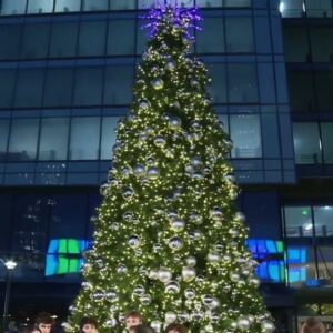 7News hosts the Rosslyn Christmas tree lighting!