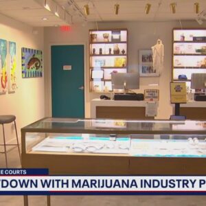 Marijuana industry pioneer talks pot business in D.C. | FOX 5's In The Courts