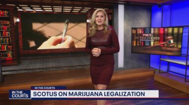 Marijuana legalization: The big picture | FOX 5's In The Courts