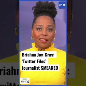 Briahna Joy-Gray: #twitterfiles journalists SMEARED by establishment #elonmusk #shorts #twitter
