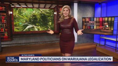 Marijuana laws in D.C., Maryland, Virginia: What you need to know | FOX 5's In The Courts